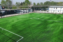 FIFA Sentetik Çim